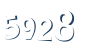 Input this protected code