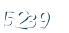 Input this protected code